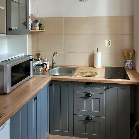 홈스테이 Sloneczko 스클라르스카포렘바