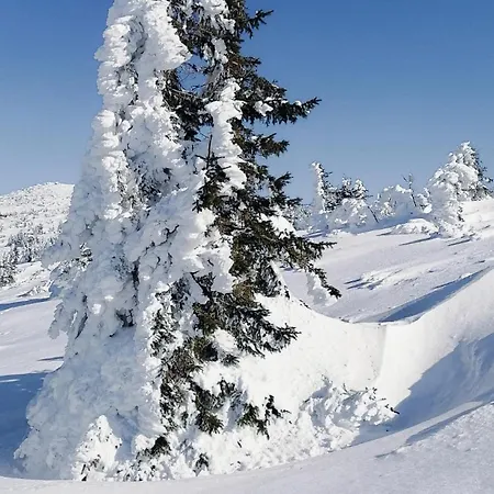 Sloneczko בית אירוח